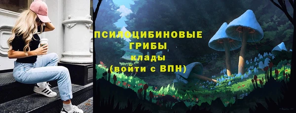2c-b Алзамай