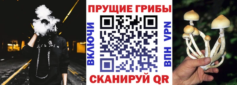 Галлюциногенные грибы Cubensis  Билибино 